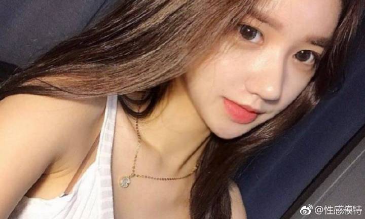 王毅：上合组织外长会为天津峰会做好准备